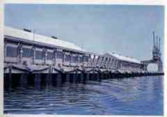 ���� ������ ��� ��� ����